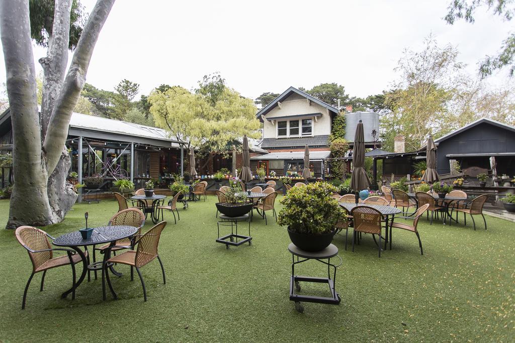 Oakdene Vineyards Guesthouse Wallington Exterior foto